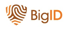 BigID, Inc